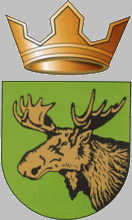 Флаг