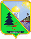 Флаг