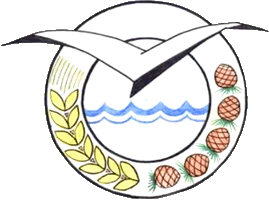 Флаг