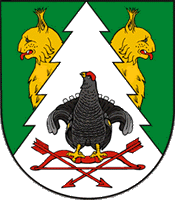 Флаг