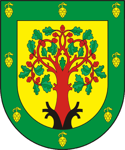 Флаг