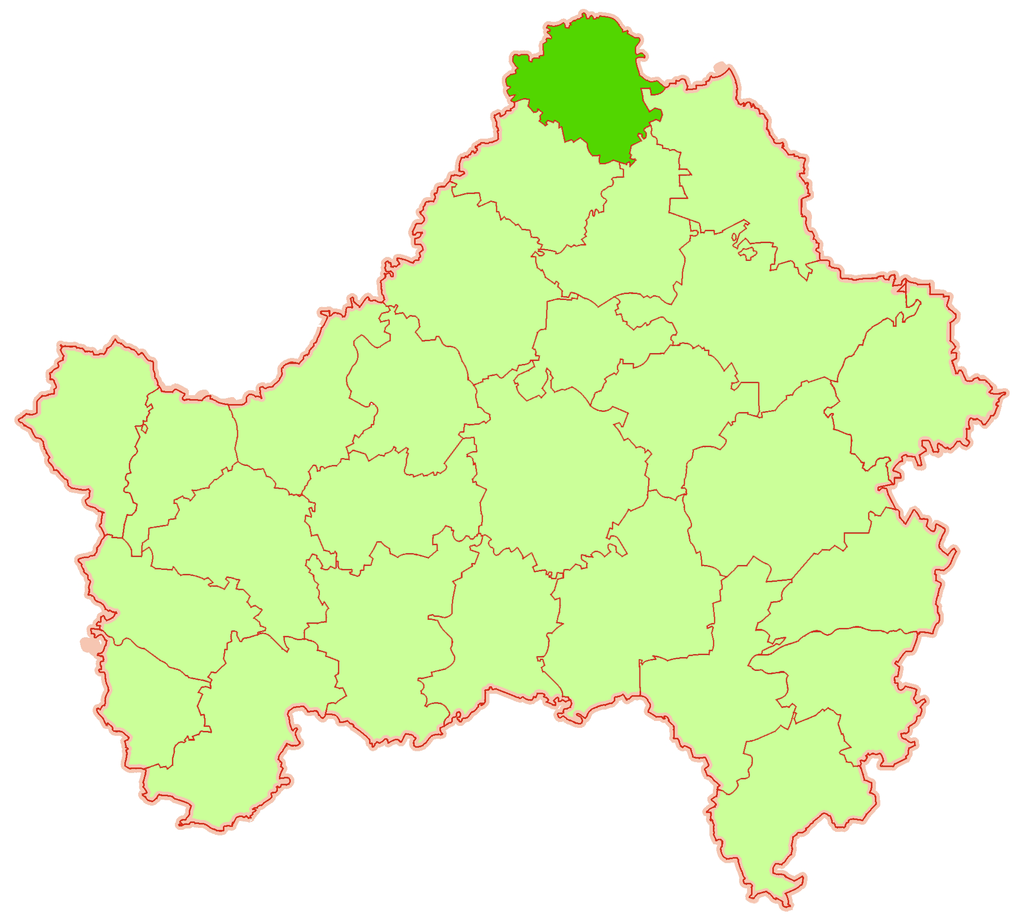 Рогнединский район