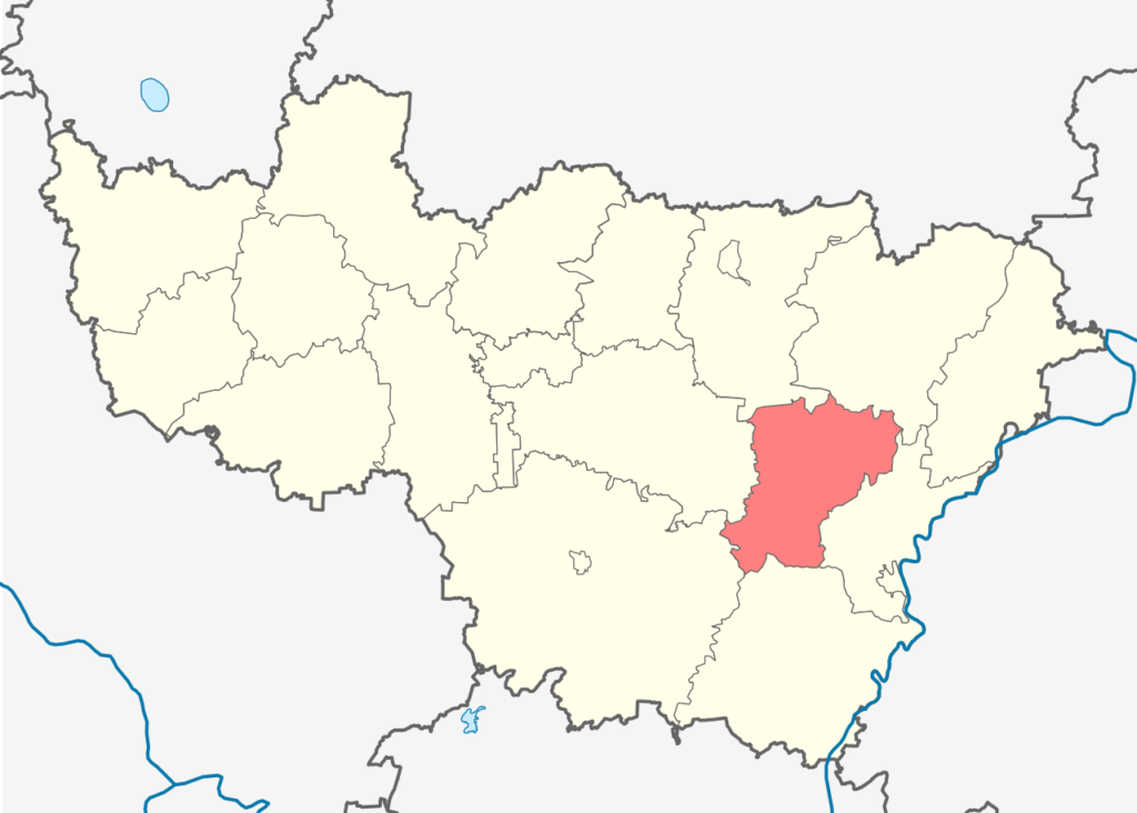 Селивановский район