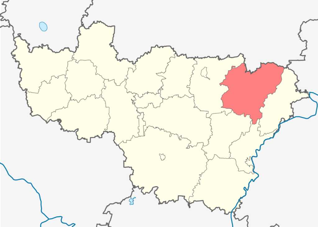 Вязниковский район