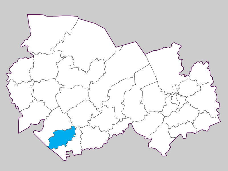 Баганский район