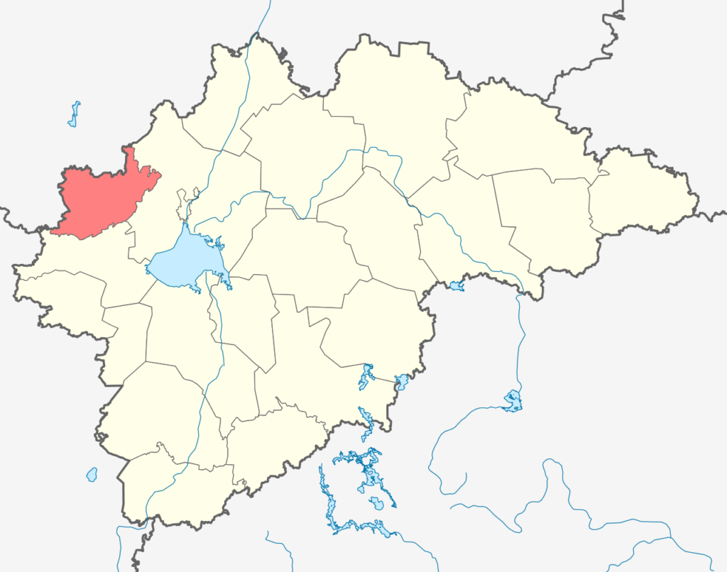 Батецкий район