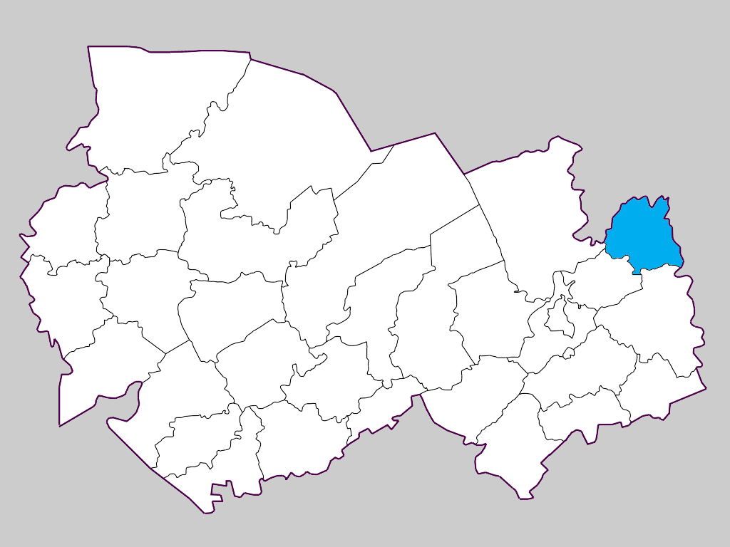 Болотнинский район