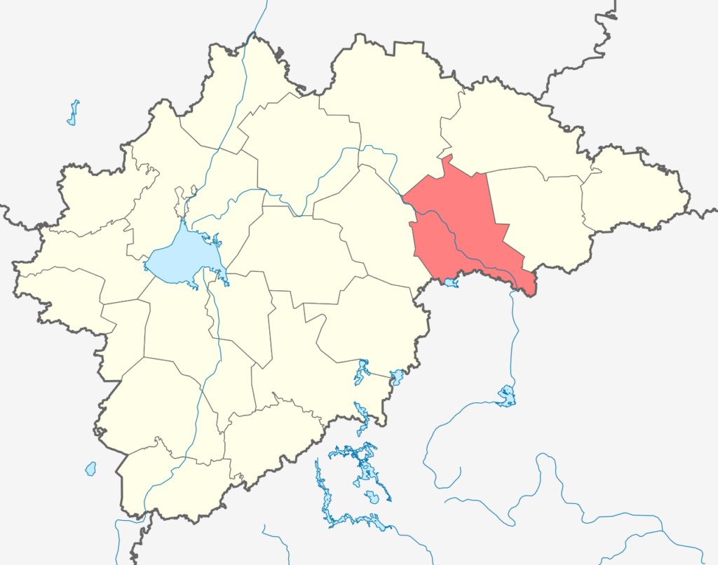 Боровичский район