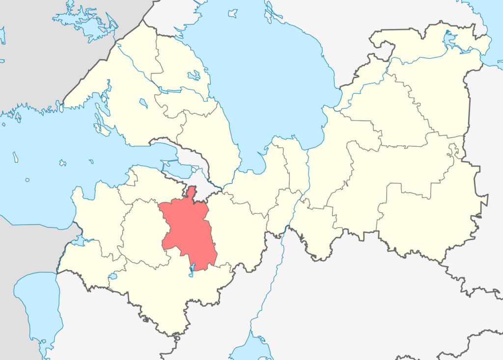 Гатчинский район