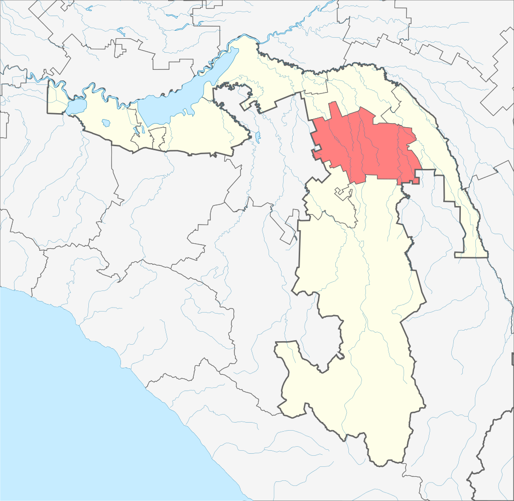 Гиагинский район