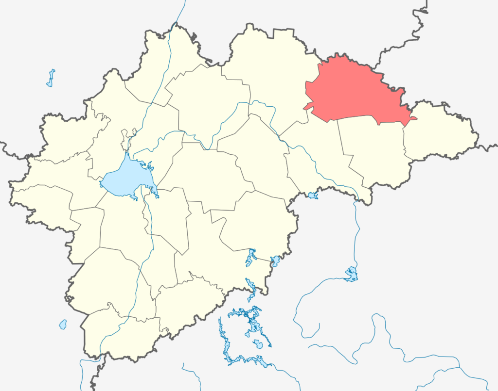Хвойнинский район