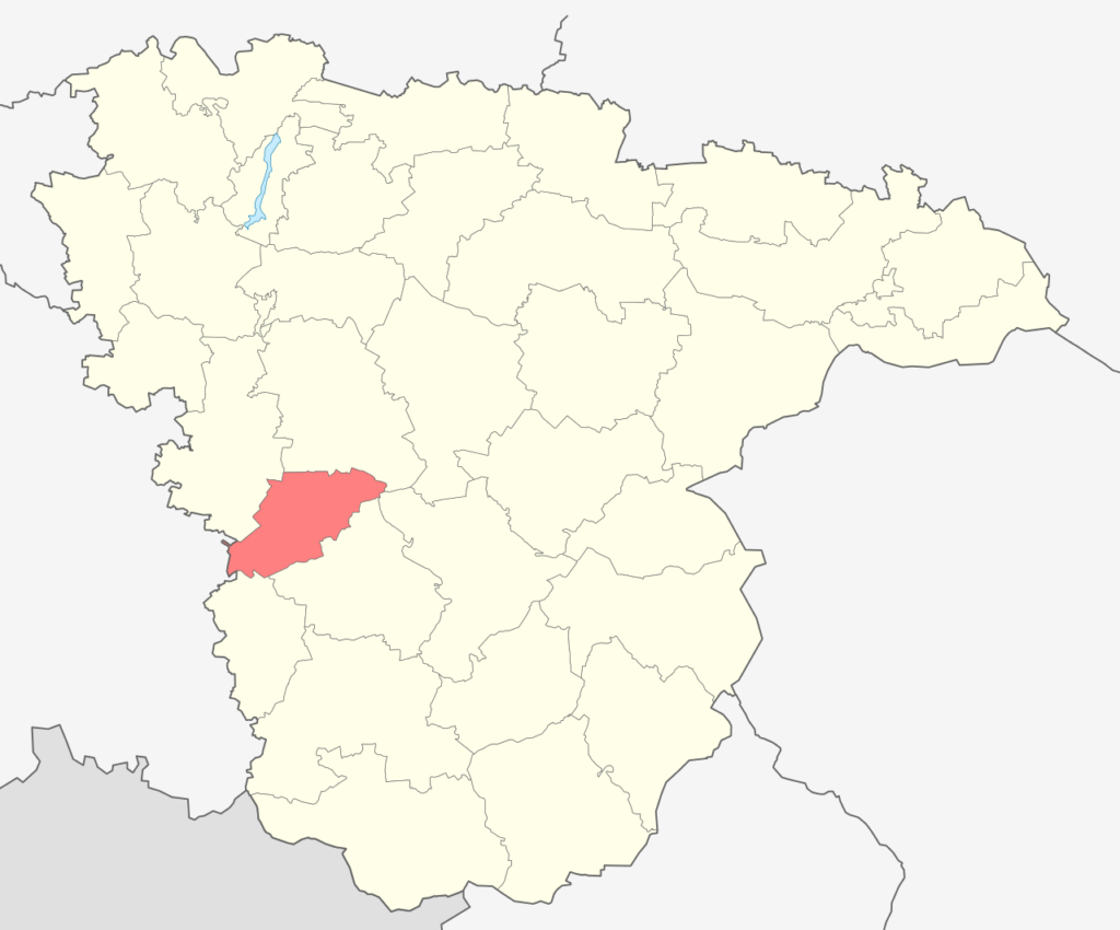 Каменский район