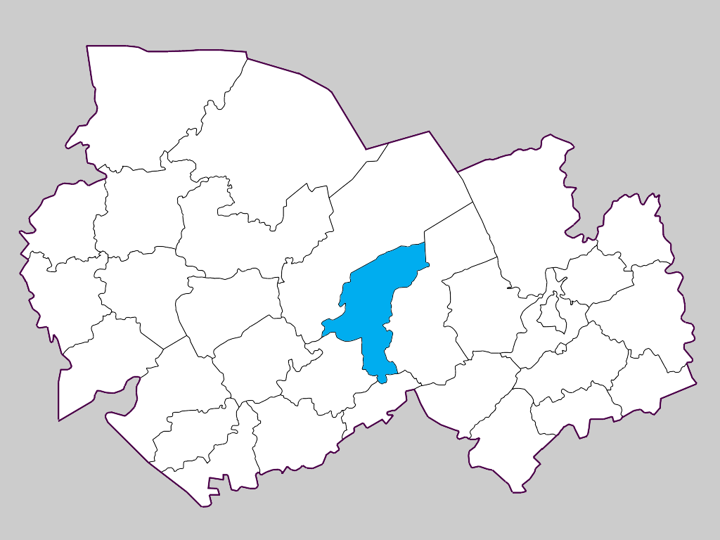 Каргатский район