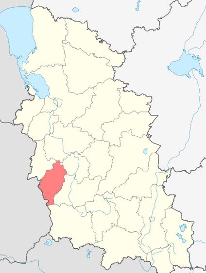 Красногородский район