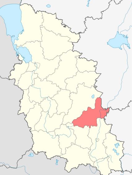 Локнянский район