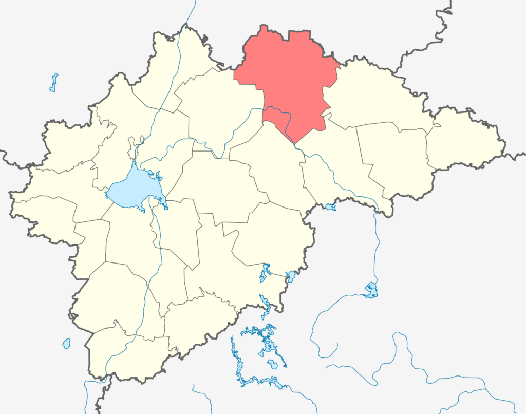 Любытинский район