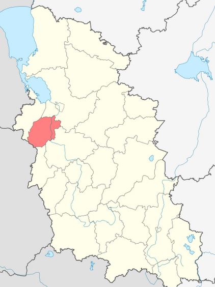 Палкинский район