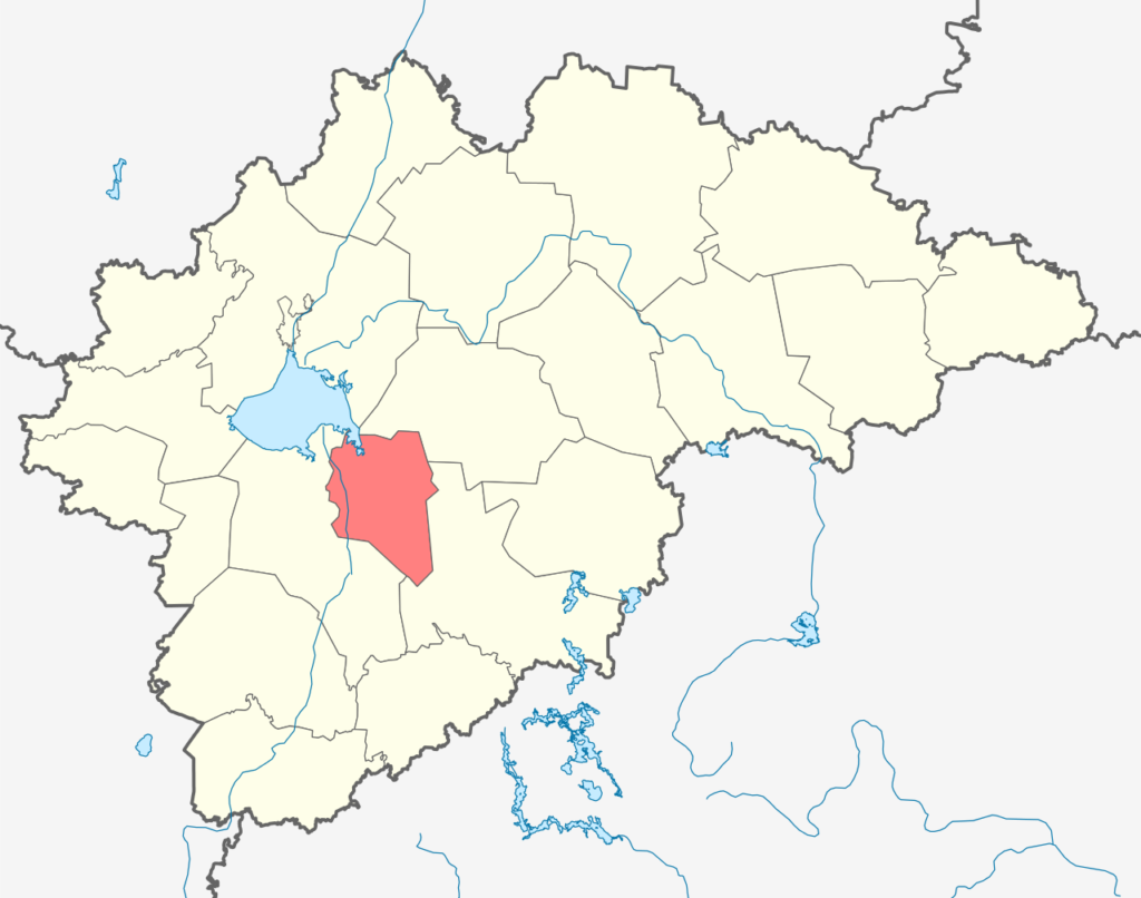 Парфинский район