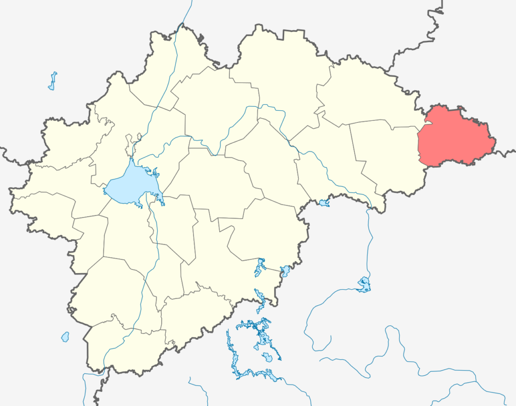 Пестовский район