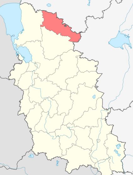 Плюсский район