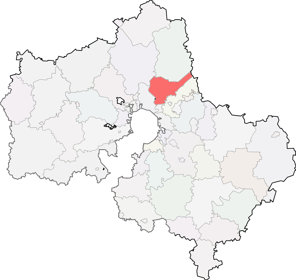 Пушкинский городской округ