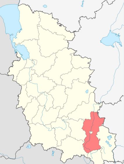 Великолукский район