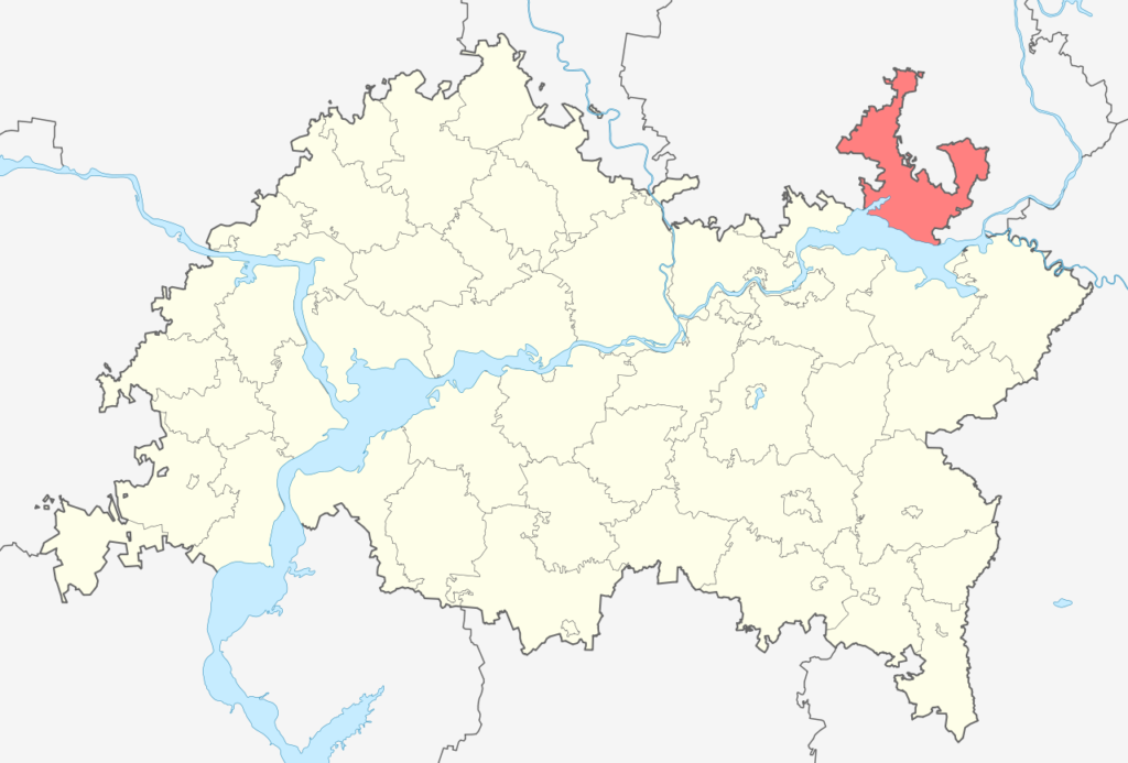 Агрызский район