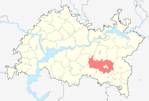 Альметьевский район