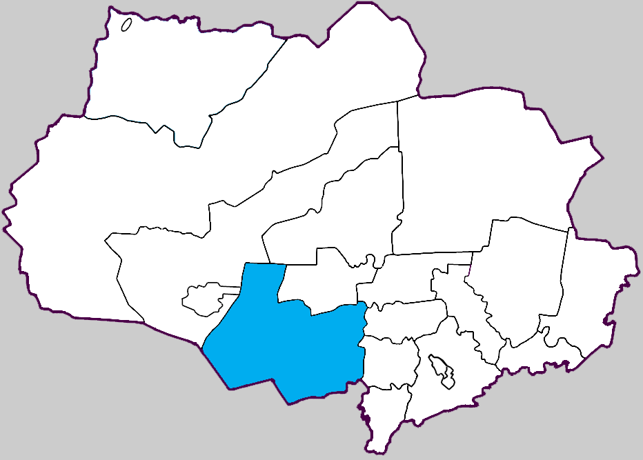 Бакчарский район