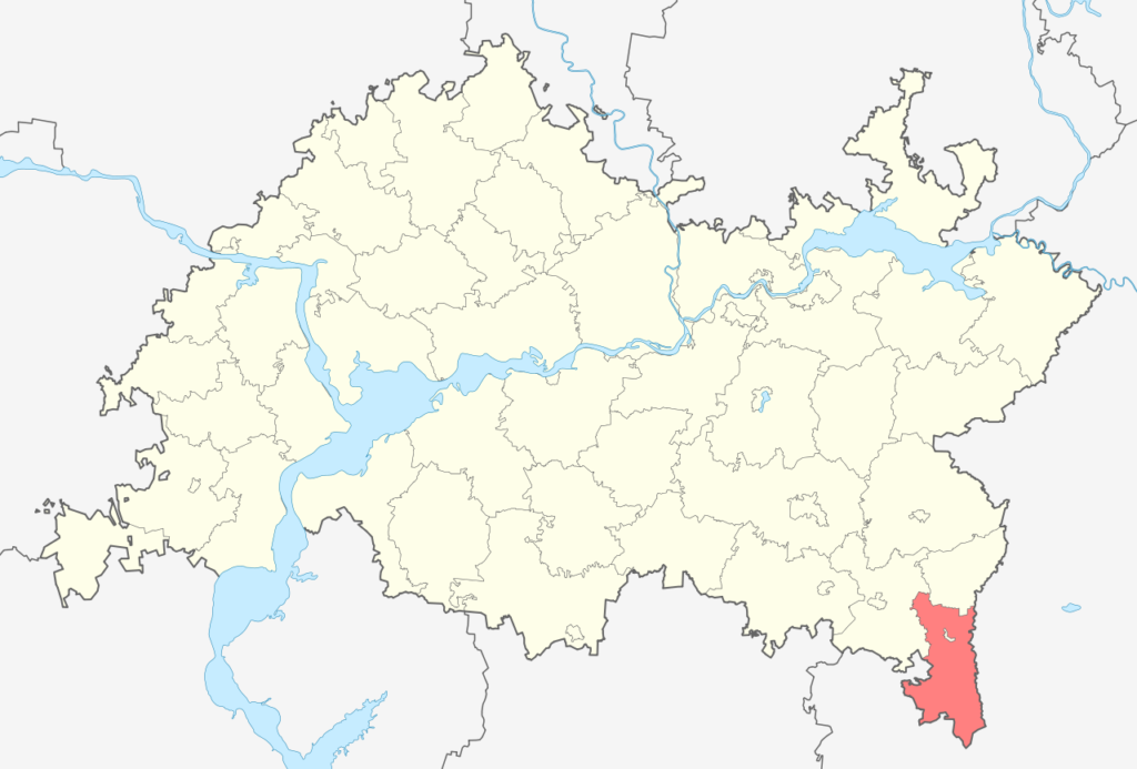 Бавлинский район