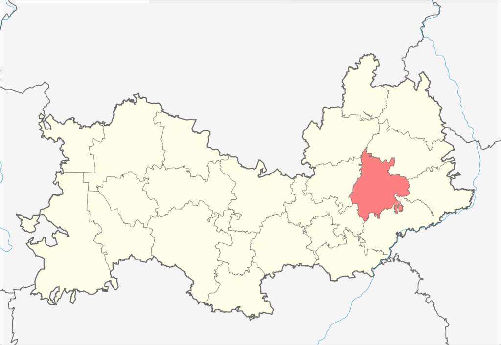 Чамзинский район