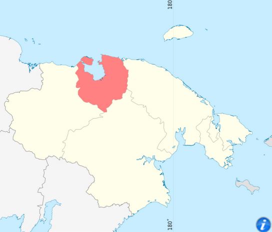 Чаунский район