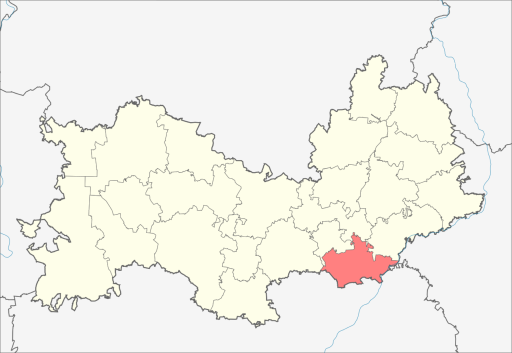 Кочкуровский район