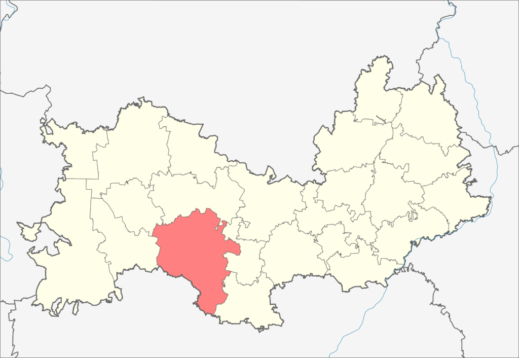 Ковылкинский район