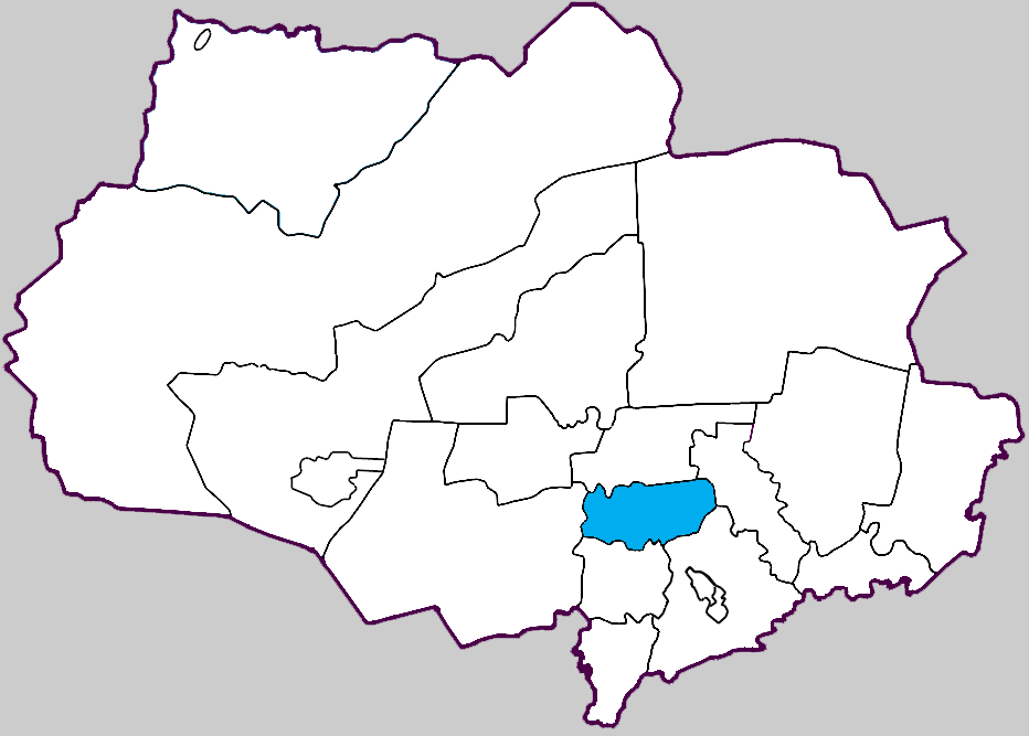 Кривошеинский район
