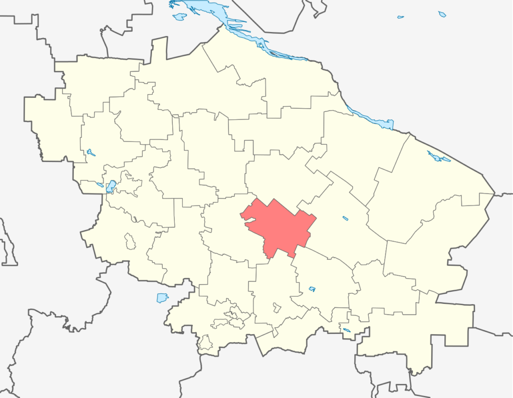 Новоселицкий район
