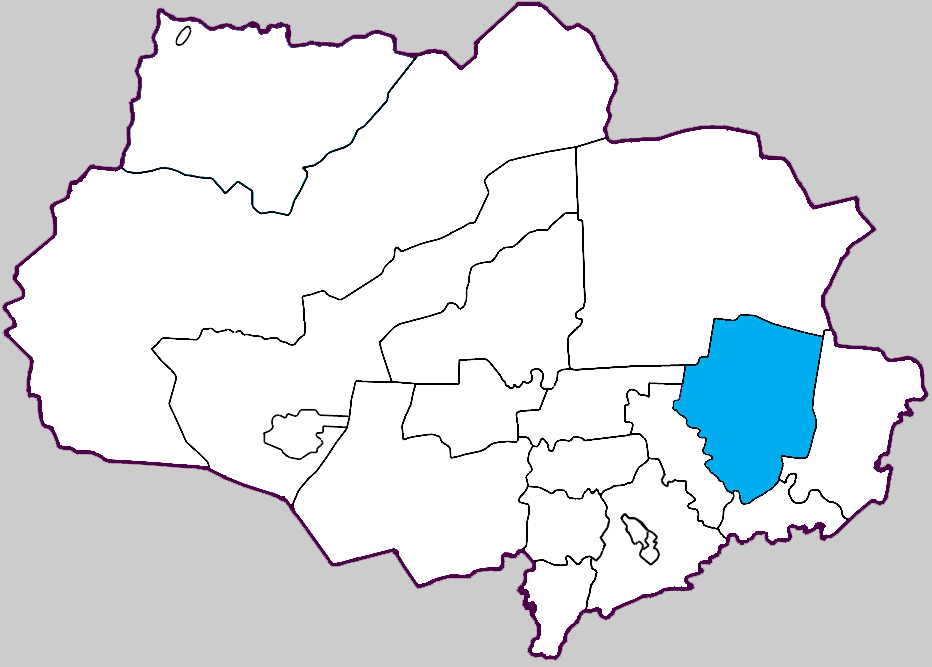 Первомайский район