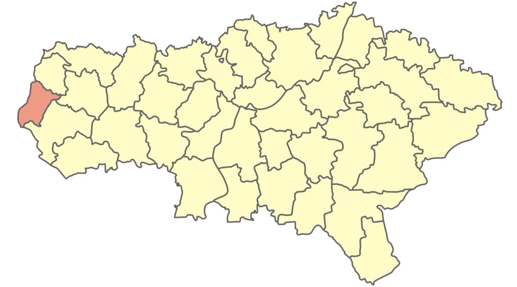 Романовский район