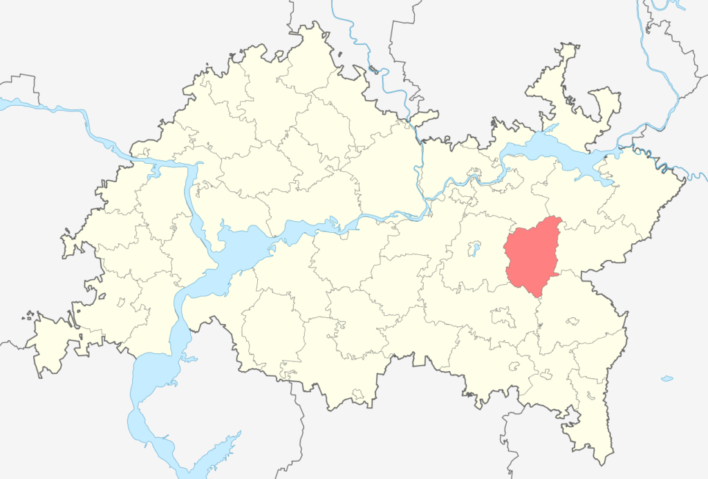 Сармановский район