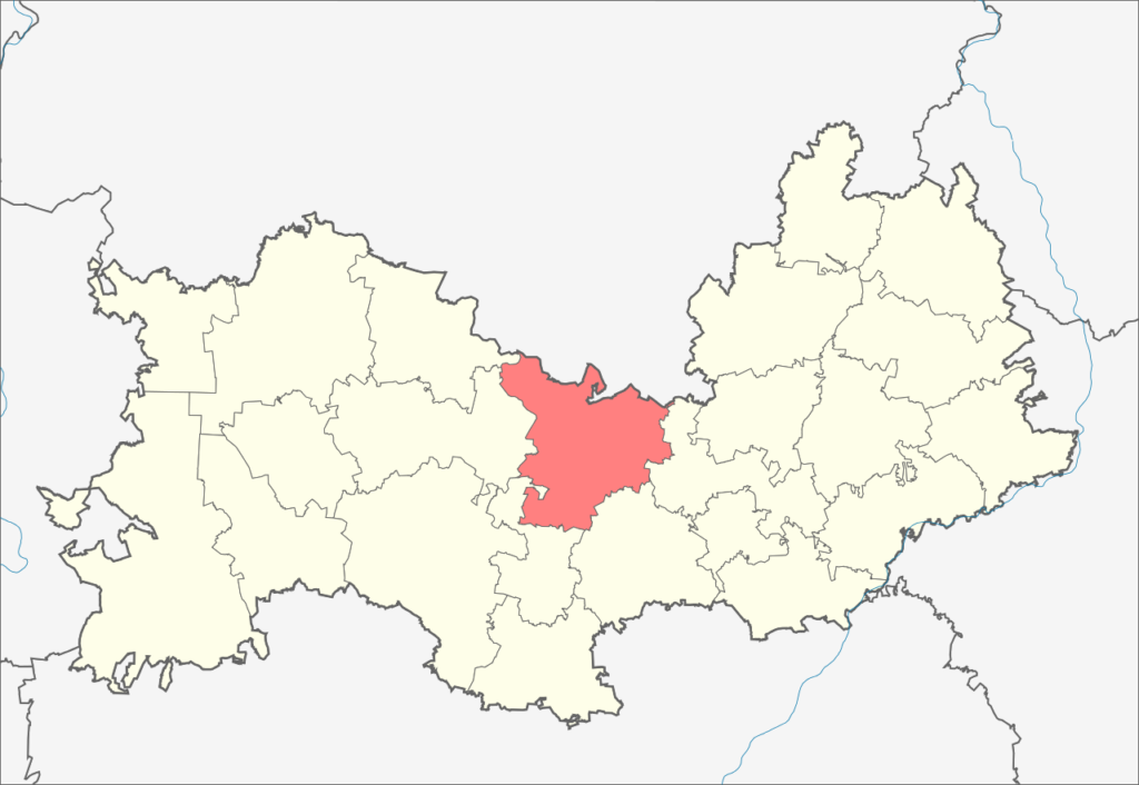 Старошайговский район