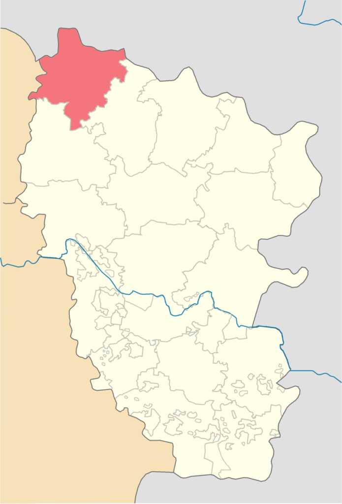 Троицкий район