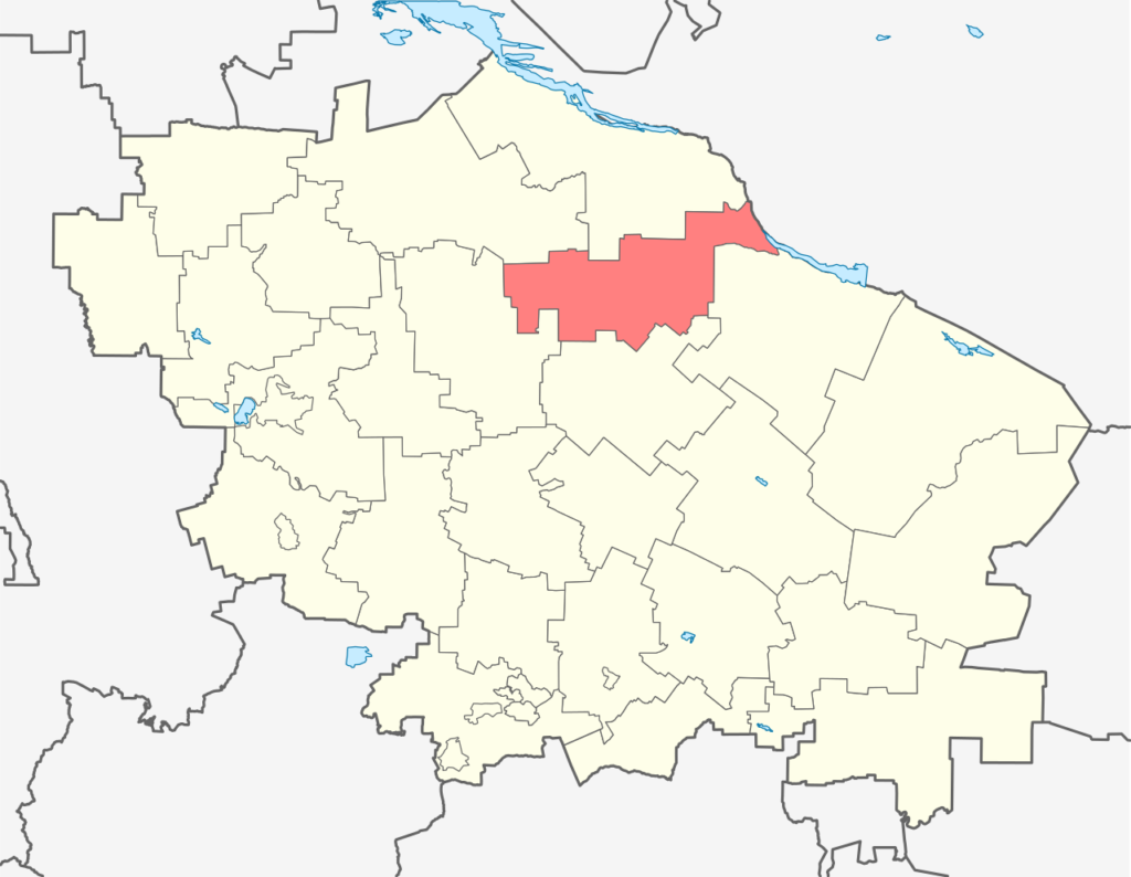 Туркменский район