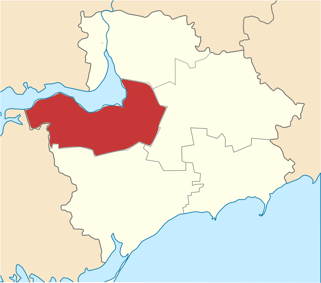 Васильевский район