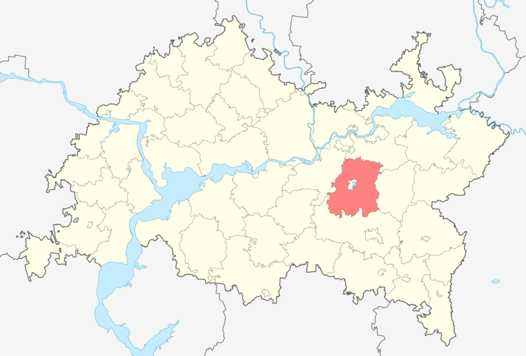 Заинский район